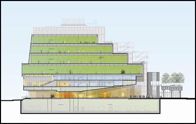 Figure 3: Sectional rendering of the Museum looking north. Note the cantilevered entrance and the stepped floors creating multiple terraces. Courtesy of Renzo Piano Building Workshop.
