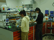 Ah-Young and Sok-Hee prepare samples