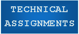 Text Box: TECHNICAL ASSIGNMENTS