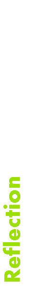 Text Box: Reflection
