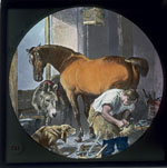 Lantern - Shoeing Horse