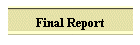 Final Report