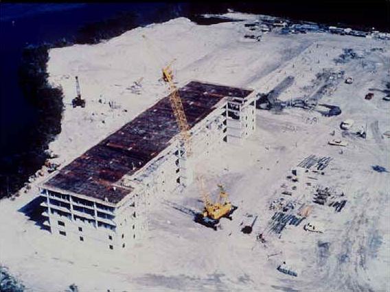 Picture_(1).JPG