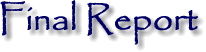 Final Report