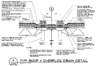 Typical Roof & Overflow Drain Detail