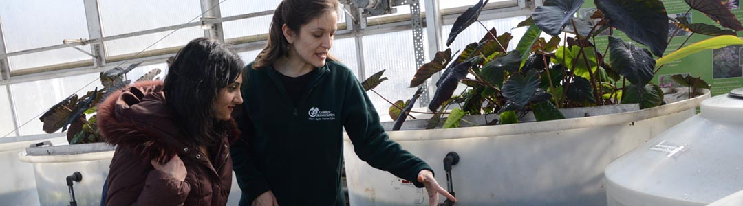 female engineering graduate student and female engineering faculty member at work in the lab