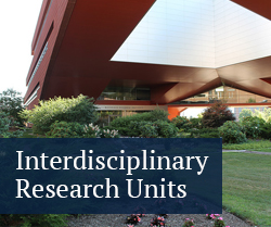 interdisciplinary research units