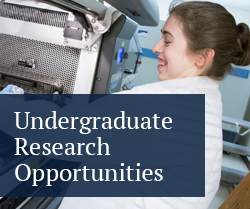 undergraduate research opportunities button