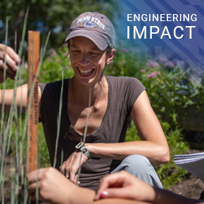 A person surveys the leaves of plants in a rain garden