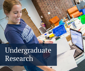 Undergraduate Research