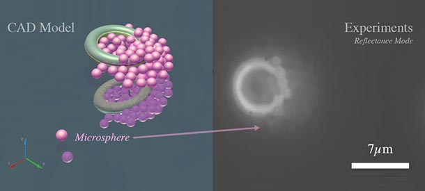 CAD models showing pink balls grouped together with green donut-shaped spheres next to a second black and white image of a white donut-shaped object