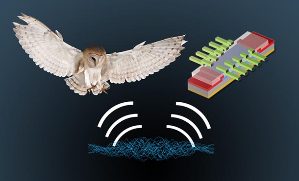 upper left owl in flight, upper right split-gate transistors, bottom sound waves