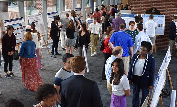 Scientific posters on easels line a large room, with windows on one side. People are grouped together in twos or threes, discussing the research on the posters.