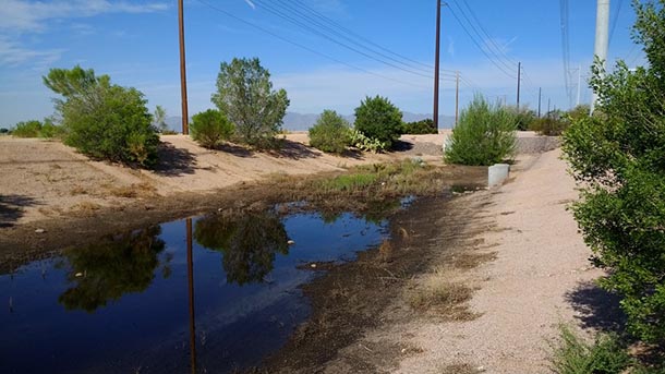 Phoenix, urban runoff