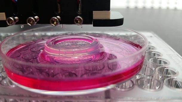 bioprinting cells