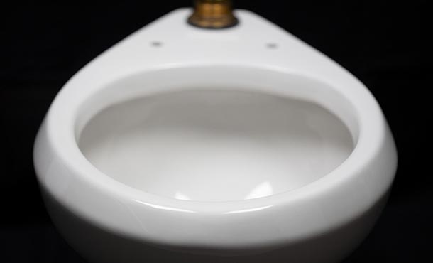 a toilet bowl