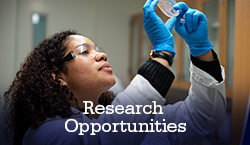 research opportunities