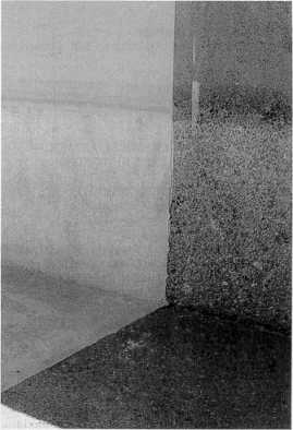 carbonic.jpg (112778 bytes)