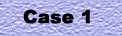 case1.jpg (1574 bytes)