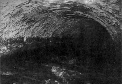sewage2.jpg (111064 bytes)