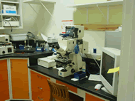 Fluorescence Microscope