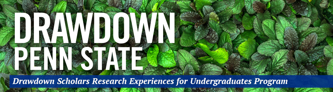 Drawdown R-E-U. Penn State Research Experiences for Undergraduates