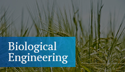 biological engineering