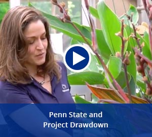 play video: penn state and project drawdown